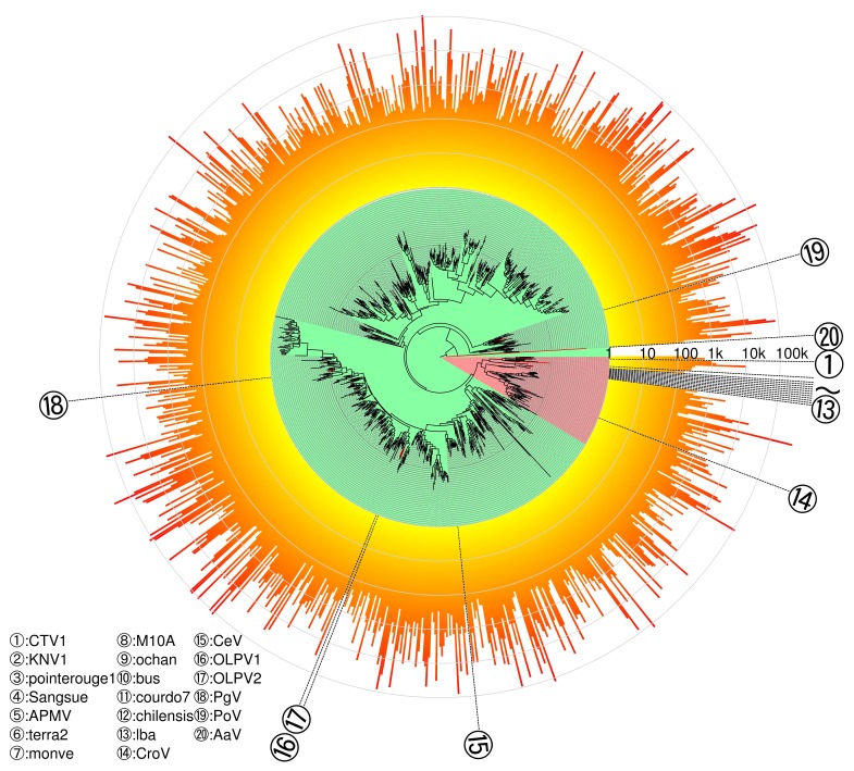 You are currently viewing Surveying giant viruses diversity